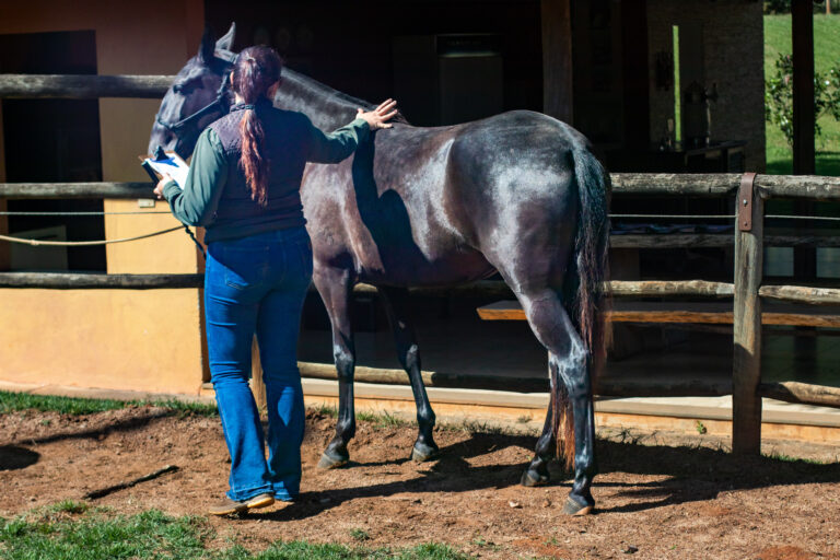Visitas Técnicas subsidiadas pela ABCC Campolina