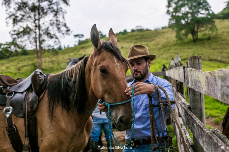 Equipamentos para os cavalos