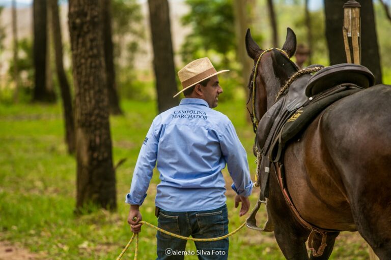 Equipamentos para os cavaleiros