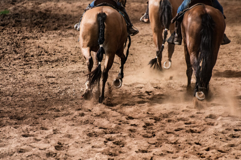 Condicionamento físico do cavalo