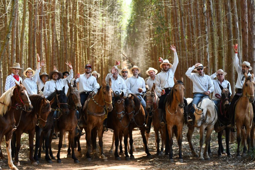 Cavaleiros Campolina