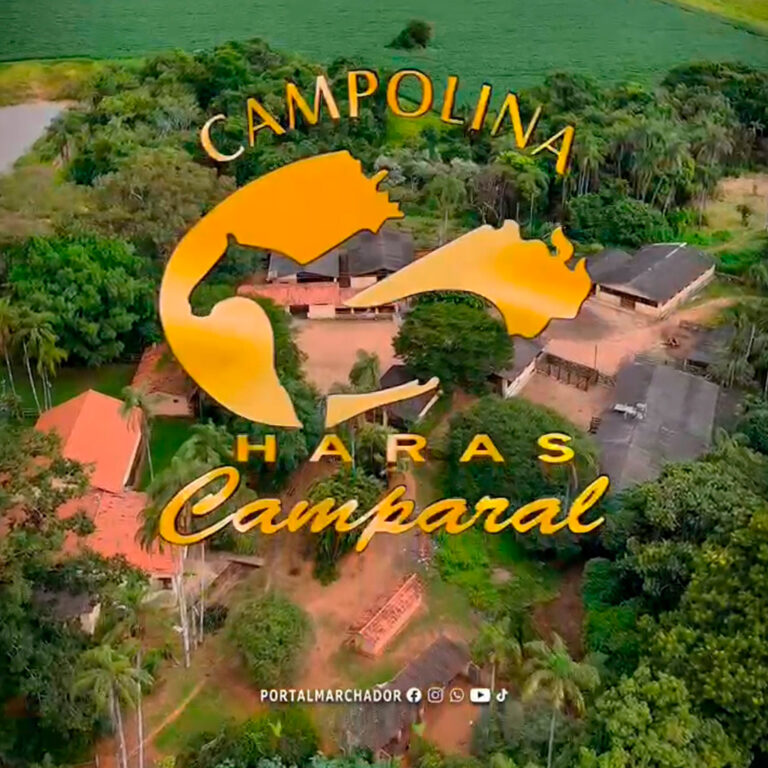 Haras Camparal