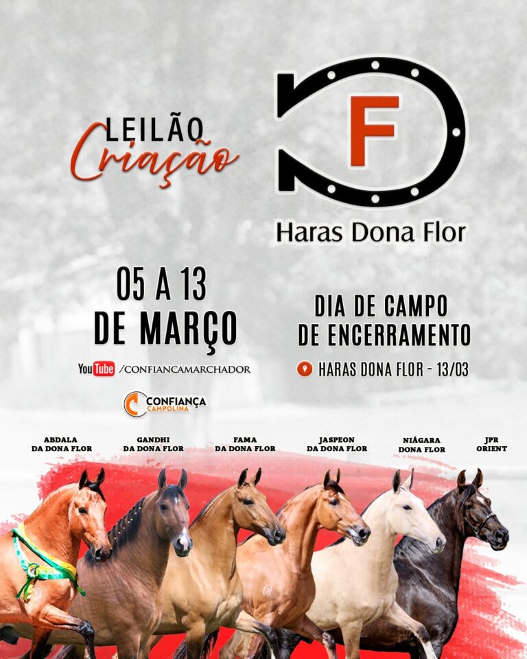 Leilão Criação Haras Dona Flor