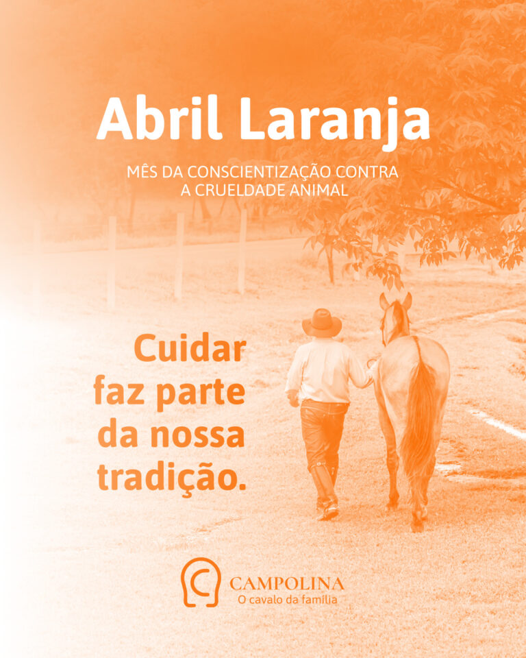 Abril Laranja: Mês da Conscientização contra a Crueldade Animal