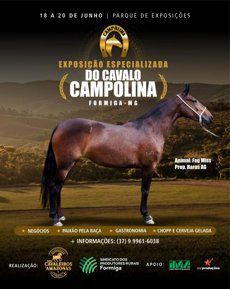 Exposição do Cavalo Campolina de Formiga – MG