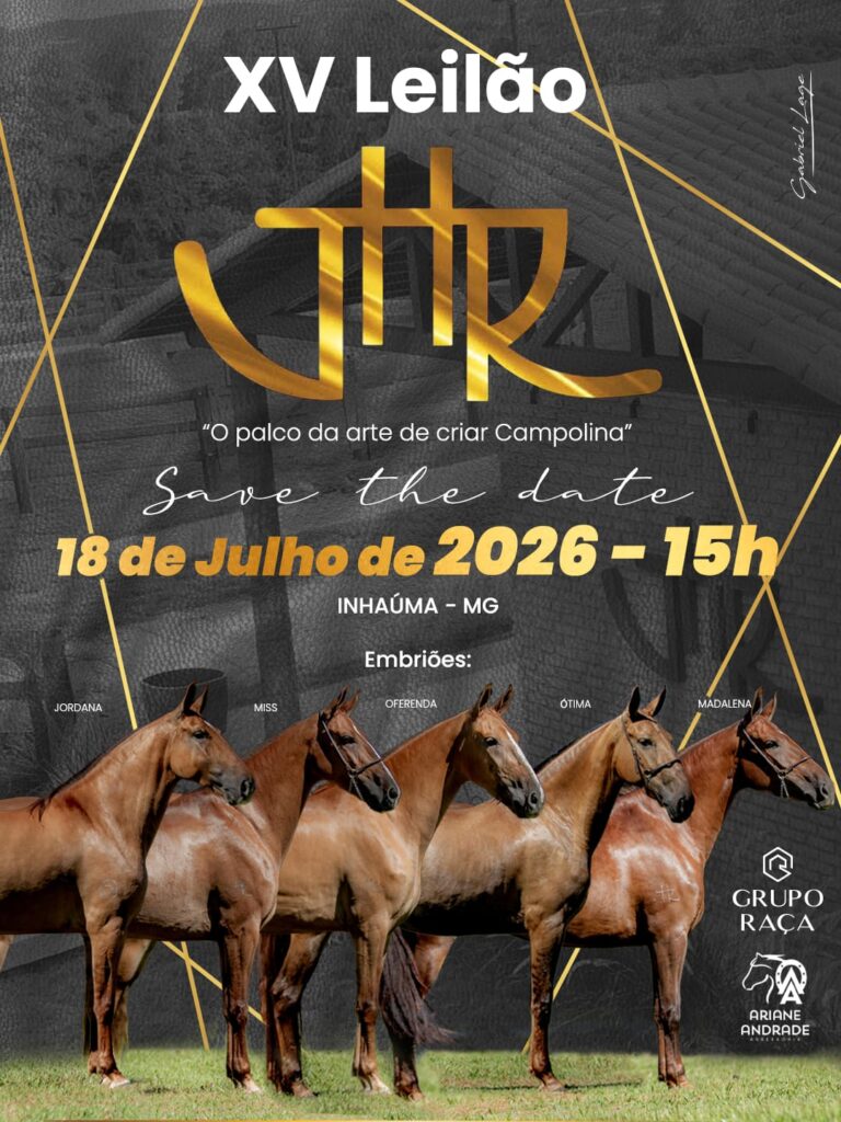 XV Leilão JHR