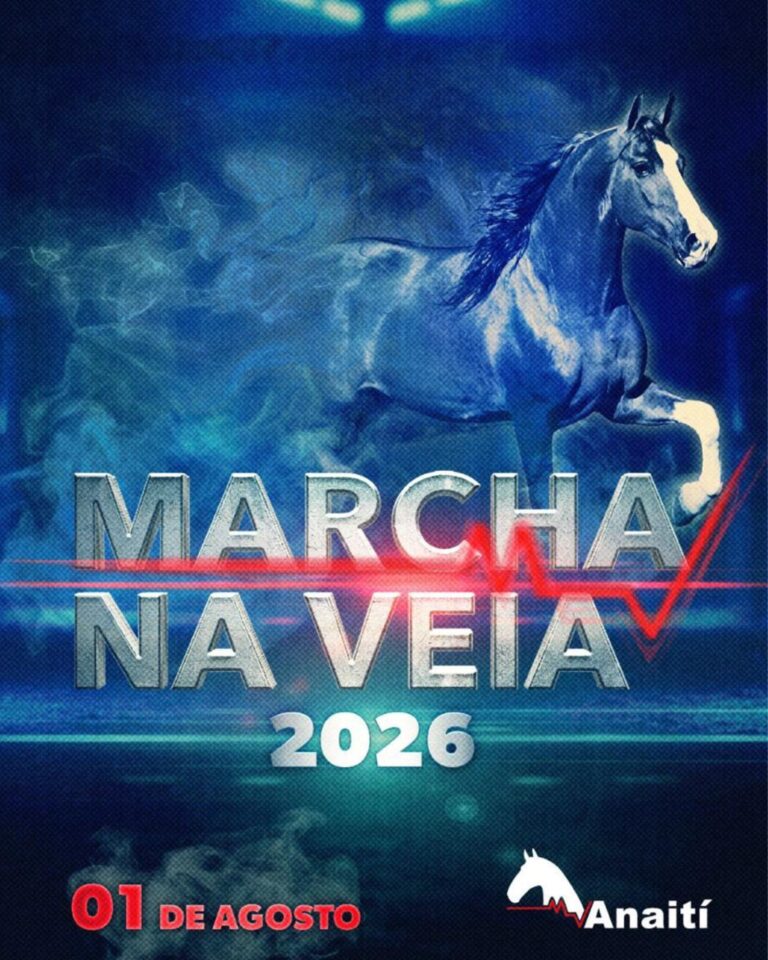Leilão Marcha na Veia 2026
