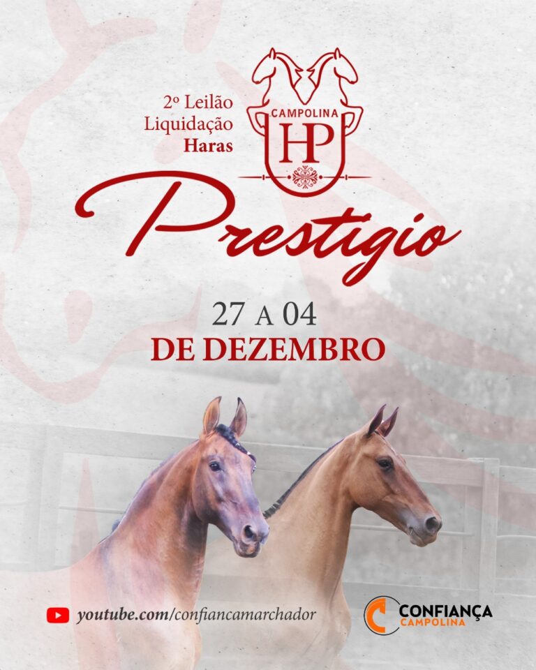 ll Leilão Liquidação Haras Prestigio