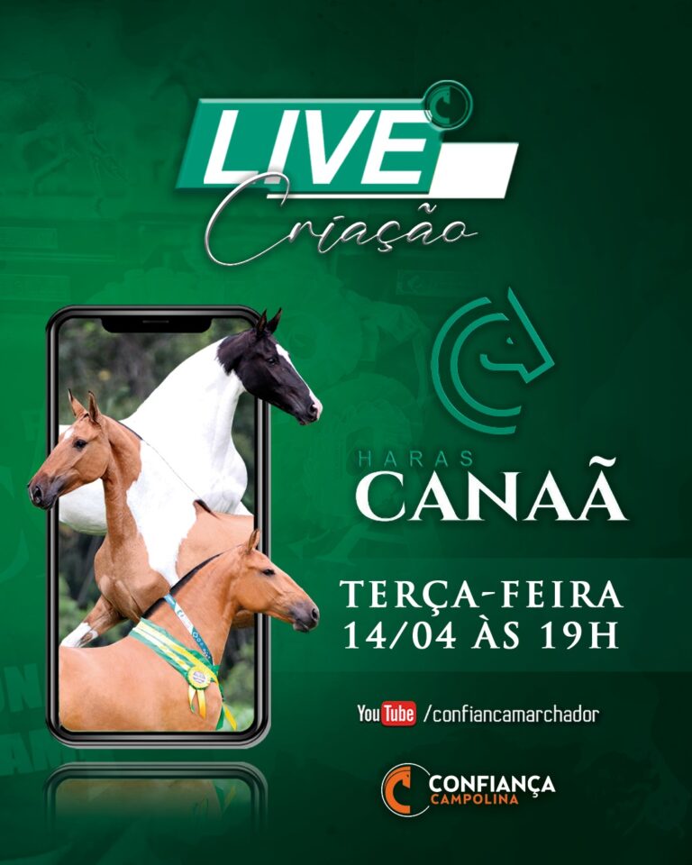 Live de Criação Haras Canaã