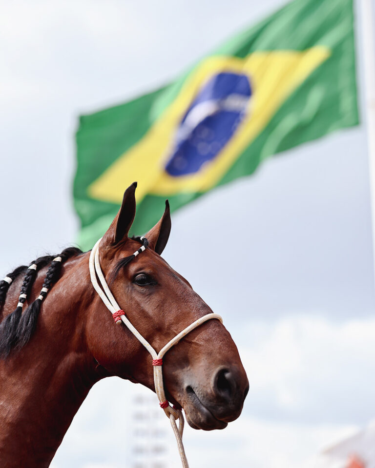 Fotos da 46ª Exposição Nacional do Cavalo Campolina