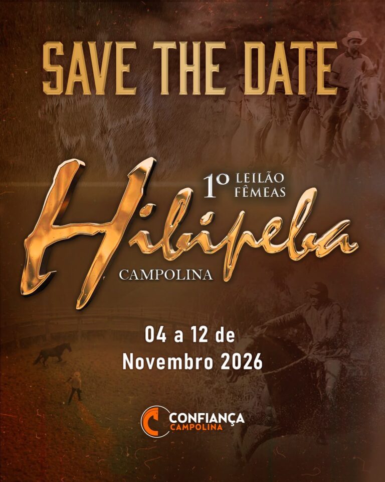 1º Leilão Fêmeas Hibipeba Campolina