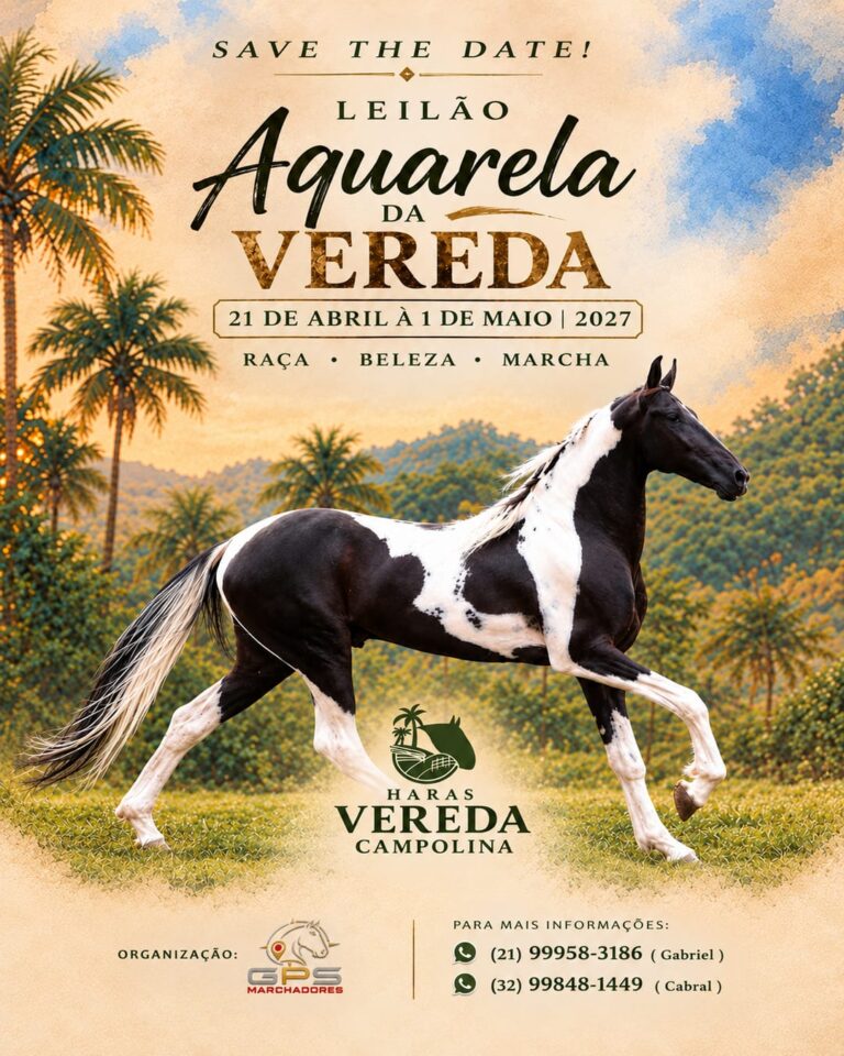 Leilão Aquarela da Vereda